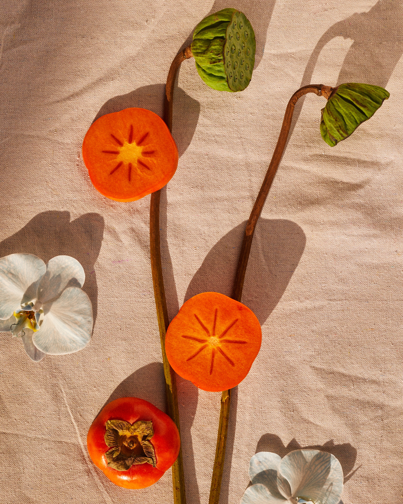 GreatFriends_Emma_Anderson_Still_Life_105