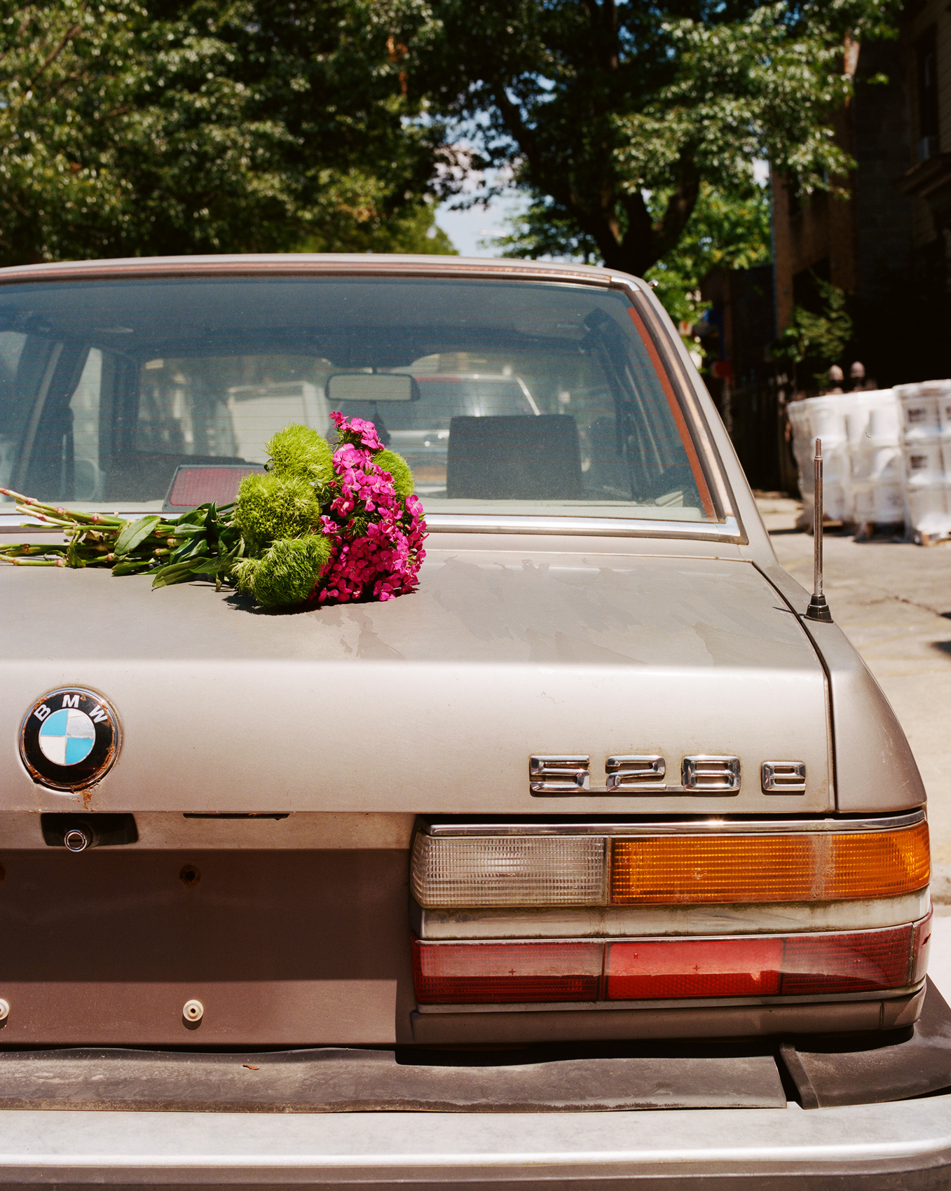 GreatFriends_Emma_Anderson_Still_Life_98