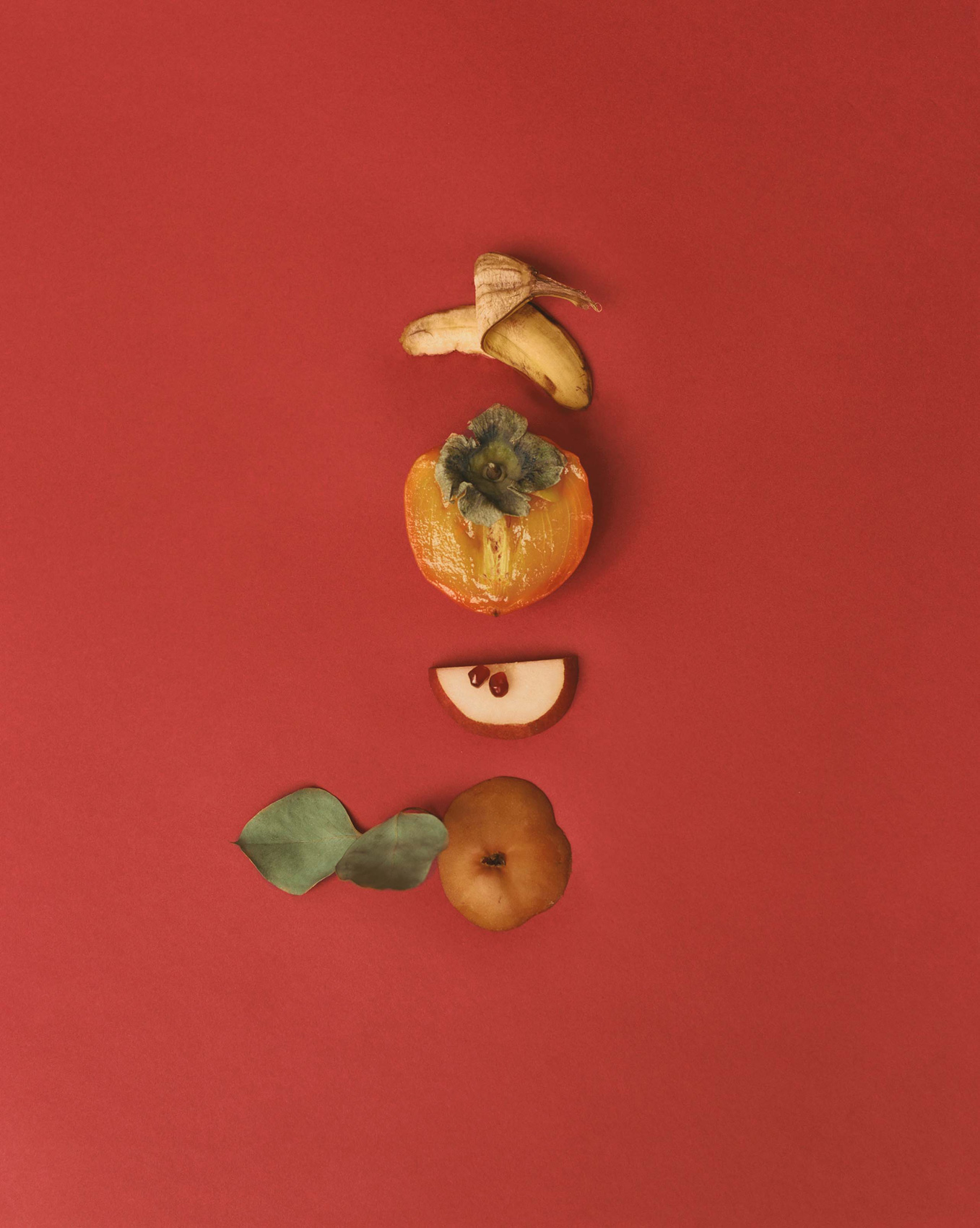 GreatFriends_Emma_Anderson_Still_Life_99
